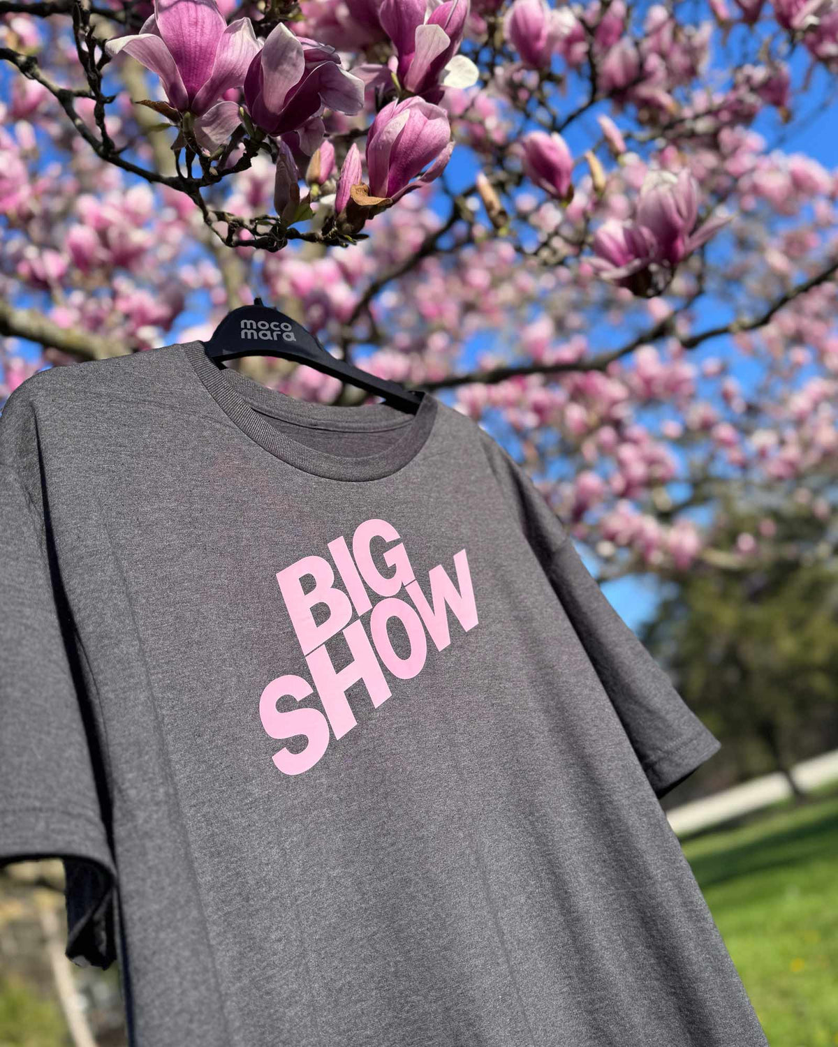 BIG SHOW graphic statement tee, choose from either pastel pink or silver printed on gray | MOCOMARA